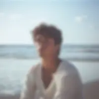Sugar Boy France 1